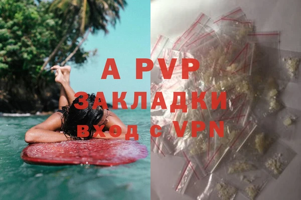 прущие крисы Алзамай