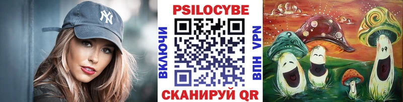 гидра ссылка Домодедово Псилоцибиновые грибы мухоморы