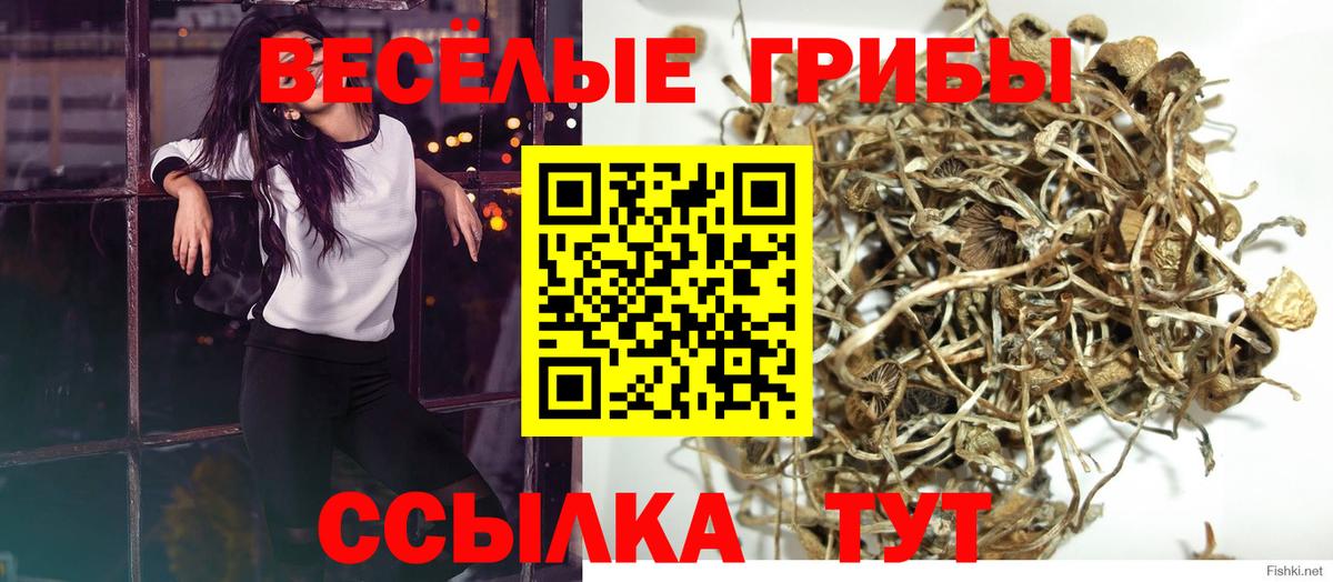 Галлюциногенные грибы ЛСД Домодедово